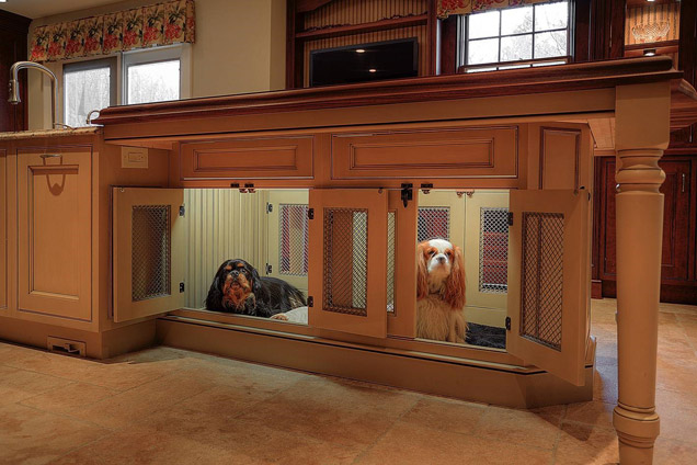 Dog shop on cabinet